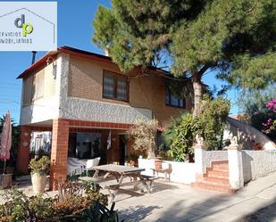 Exterior view of Country house for sale in Elche / Elx  with Private garden, Terrace and Storage room