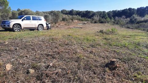 Foto 2 de Finca rústica en venda a Carrer Prat de la Riba, 7, Rodonyà, Tarragona
