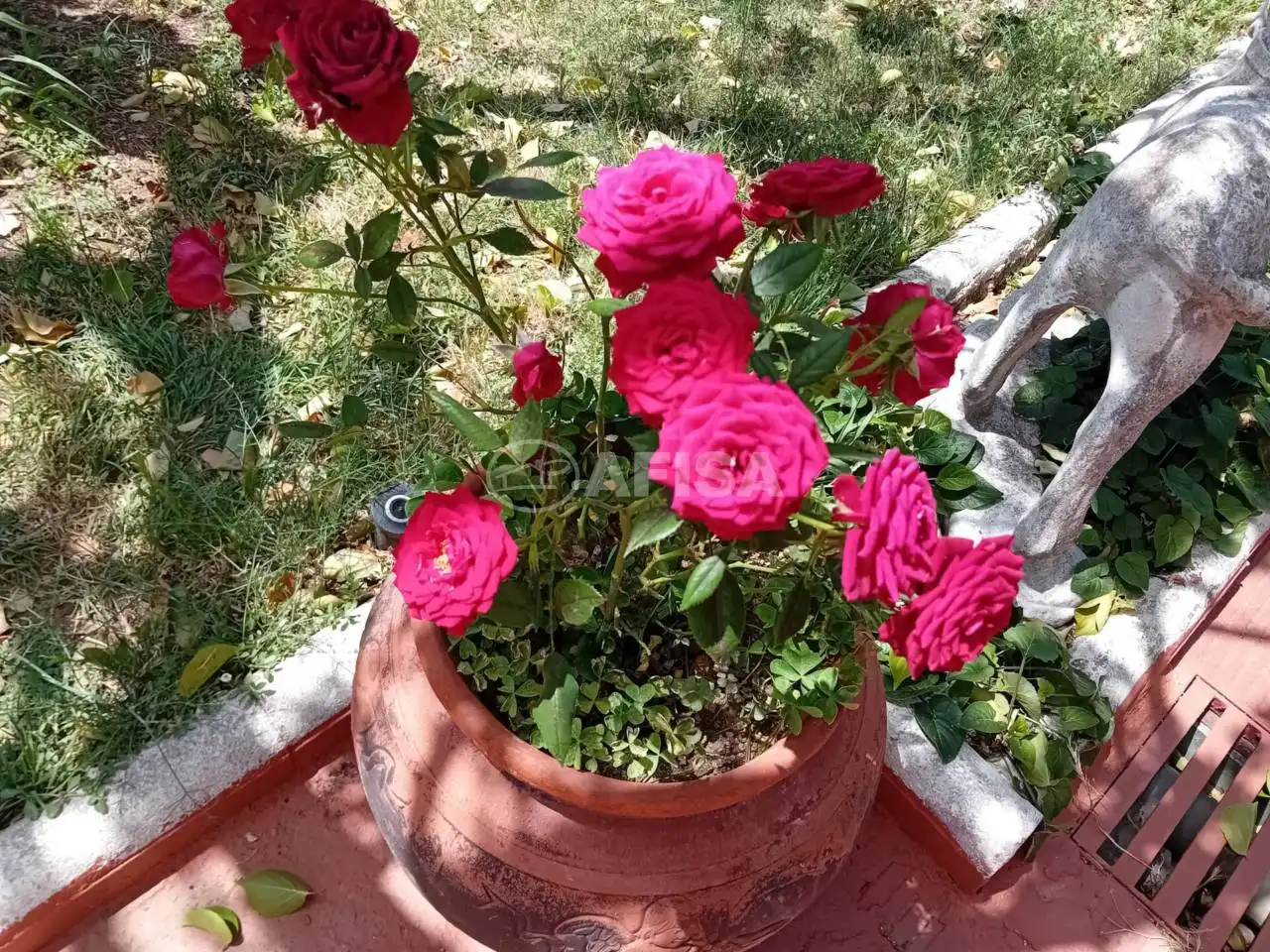Xalet amb jardí en venda a Sant Antoni de Vilamajor, imagen 19