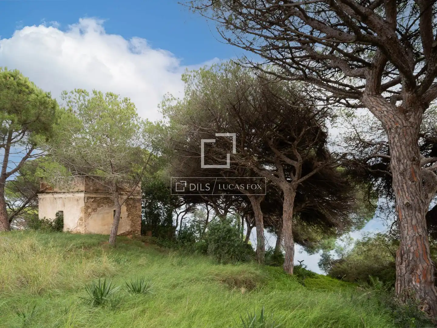 Terrain rustique à vendre à Victoria - Les Vil·les - Canyadell, imagen 11