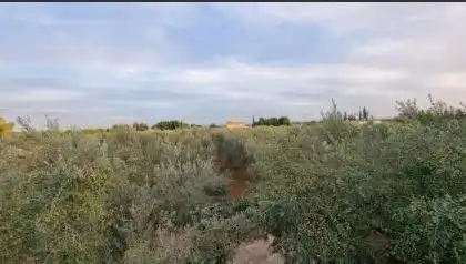 Casa pareada con jardín en alquiler en Binissalem, imagen 21