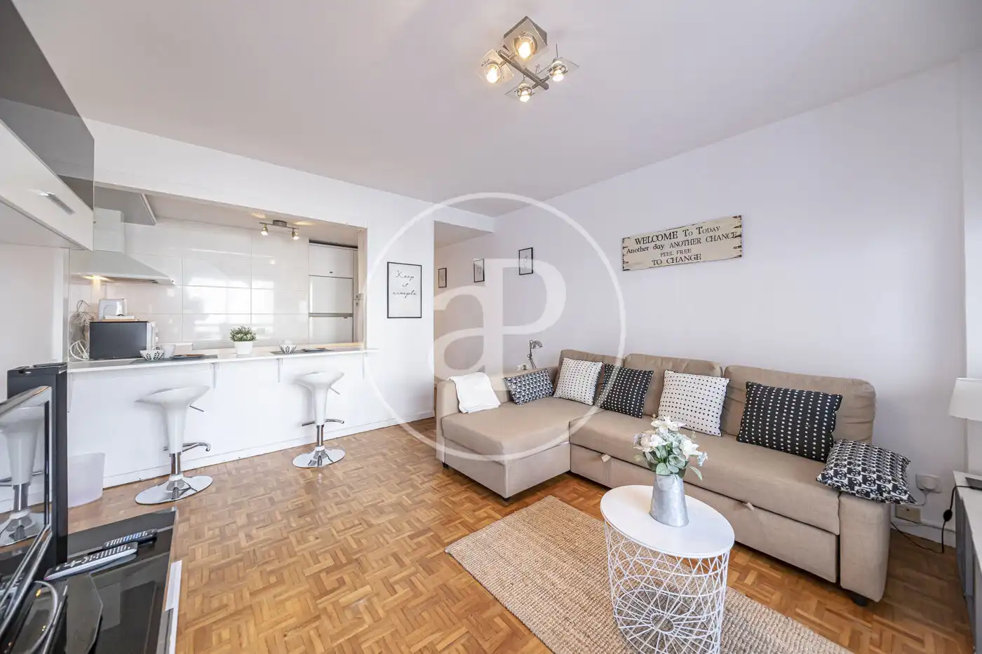 Living room of Flat for rent in Madrid  with Air Conditioner, Heating and Private garden