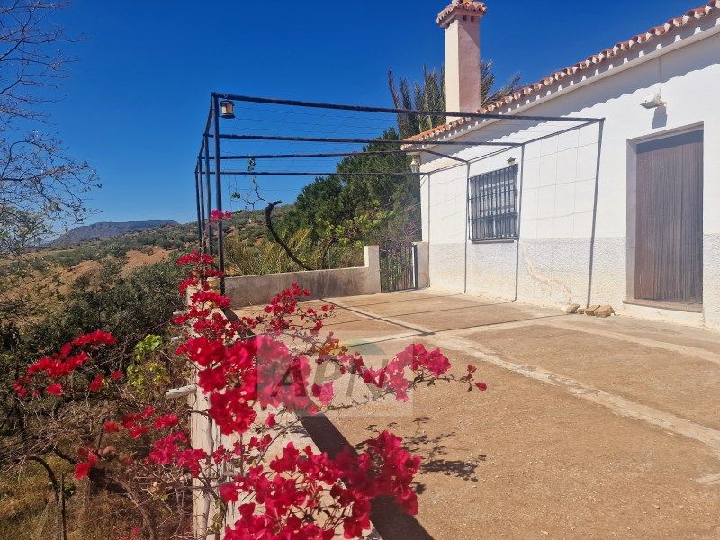 Finca rústica en venta
