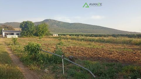 Finca Rúst. en venta en Extraradio, 3 dormitorios.