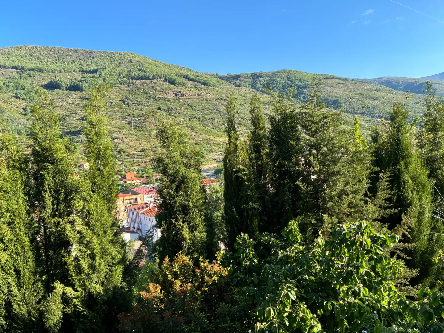 Finca rústica en venta en Calle San Jorge, 19, Navaconcejo