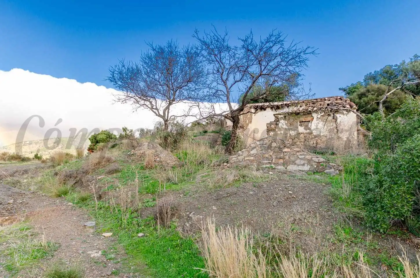 Terreno rustico in vendita a Salares, imagen 8