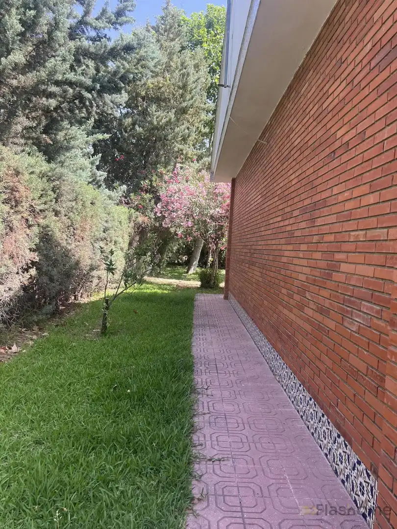 Jardín de Casa o chalet en venta en Santa Amalia con Terraza y Piscina