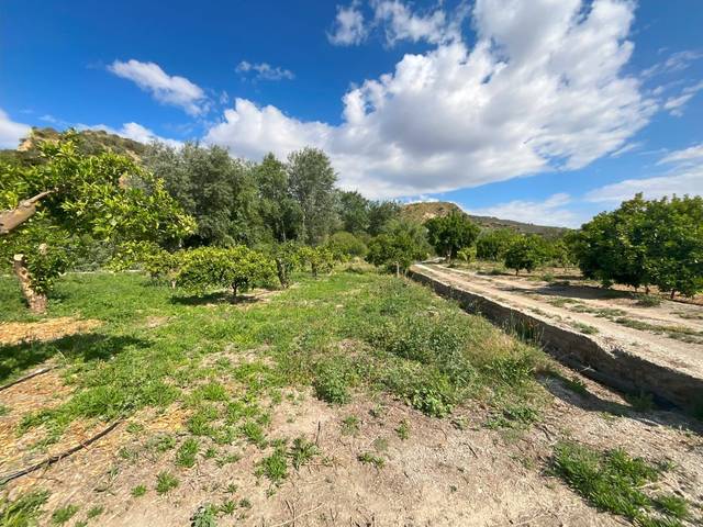 Terreno residencial en Venta en Andalucia en El Valle