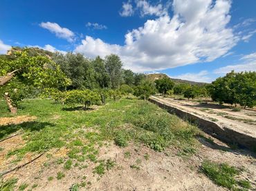 Terreni e lotti in vendita a Andalucia