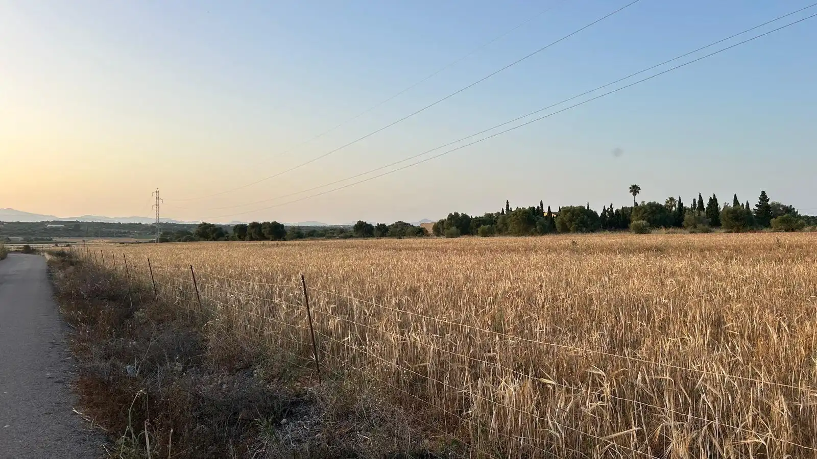 Wohnbaugrundstück zum Verkauf in Ariany, imagen 13
