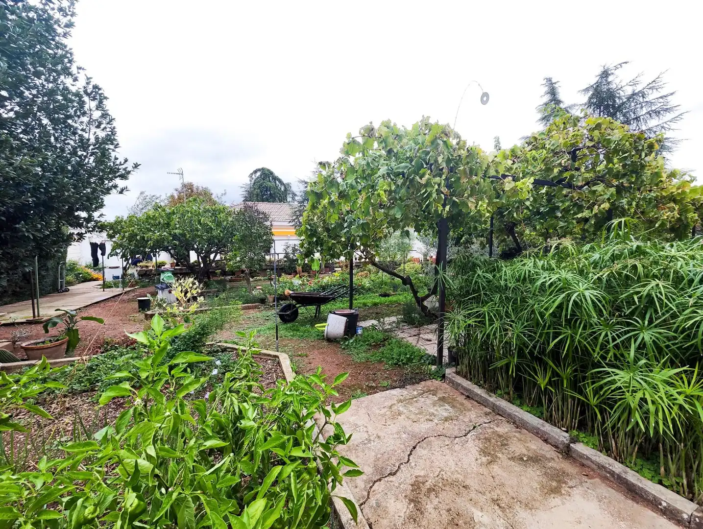 Garden of Houses for sale in Puertollano  with Air Conditioner, Heating and Private garden