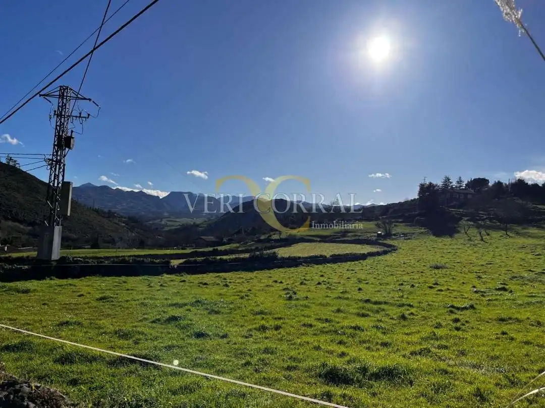 Terreno residencial en venta en Collía, imagen 7