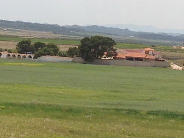 Terrenos y solares en venta en Jumilla