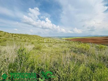 Terreno residencial en venta en Albarreal de Tajo