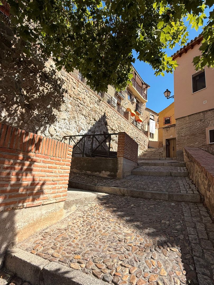 Vista exterior de Casa o chalet en venta en  Toledo Capital