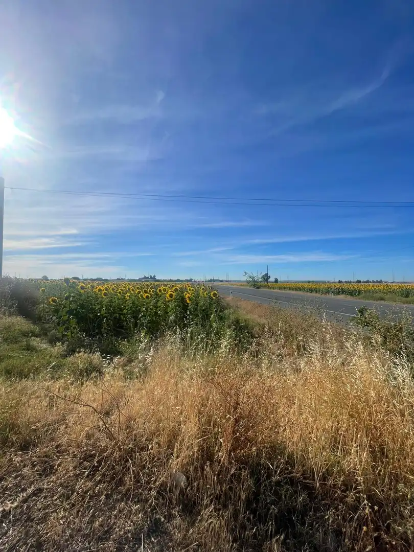 Exterior view of Land for sale in Huelva