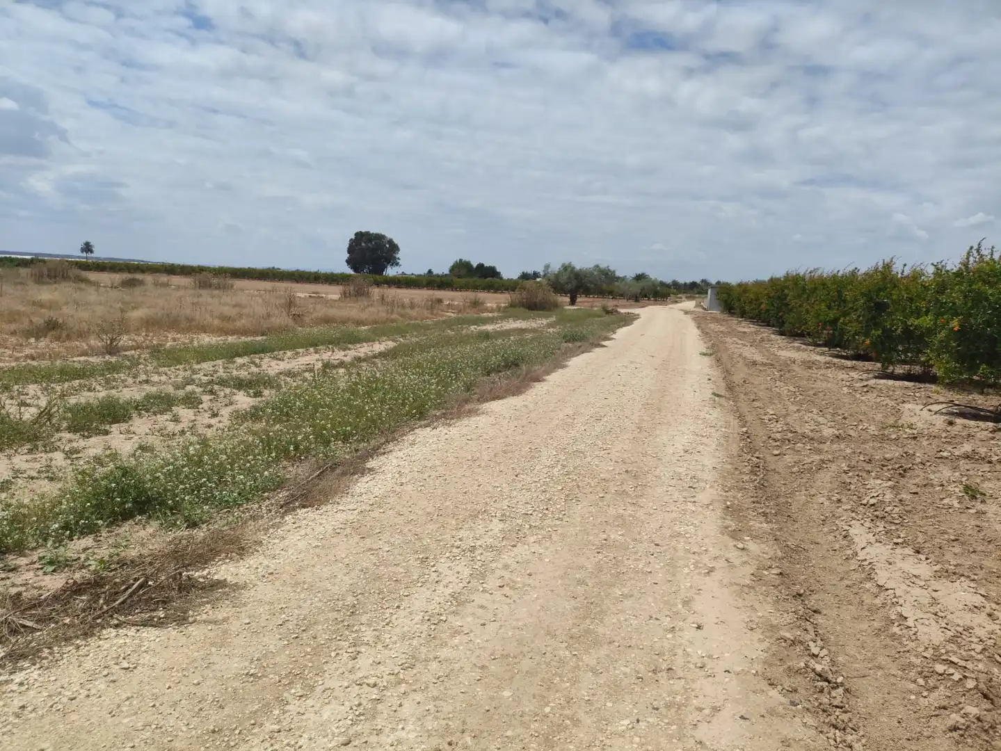 Rural land for sale in Las Bayas