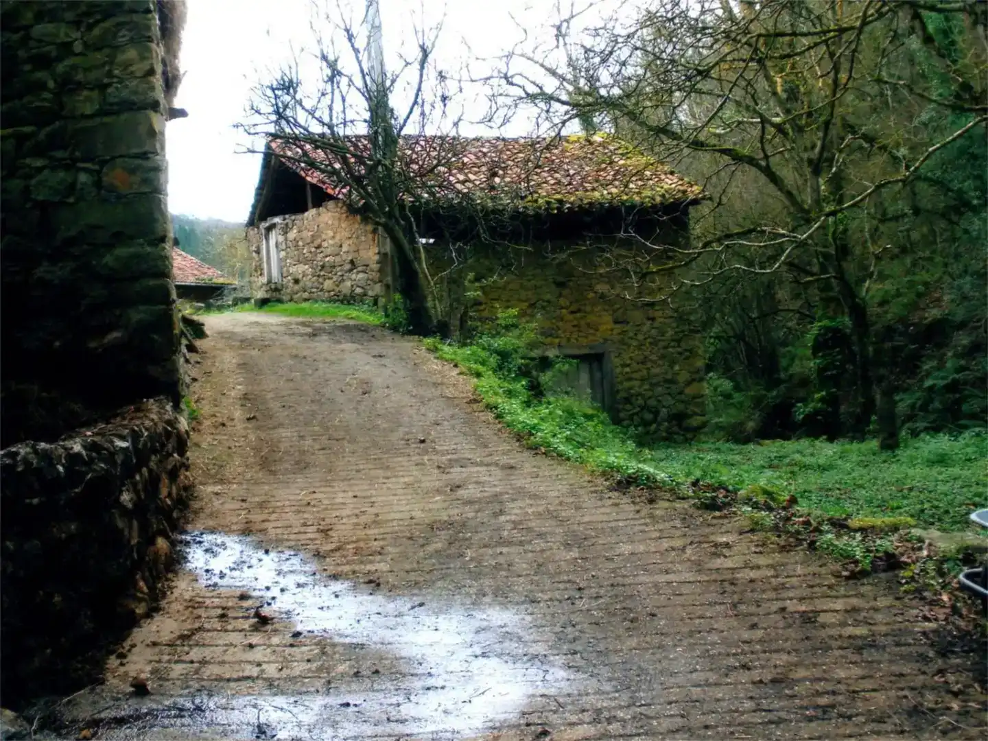 Vista exterior de Finca rústica en venda en Camaleño
