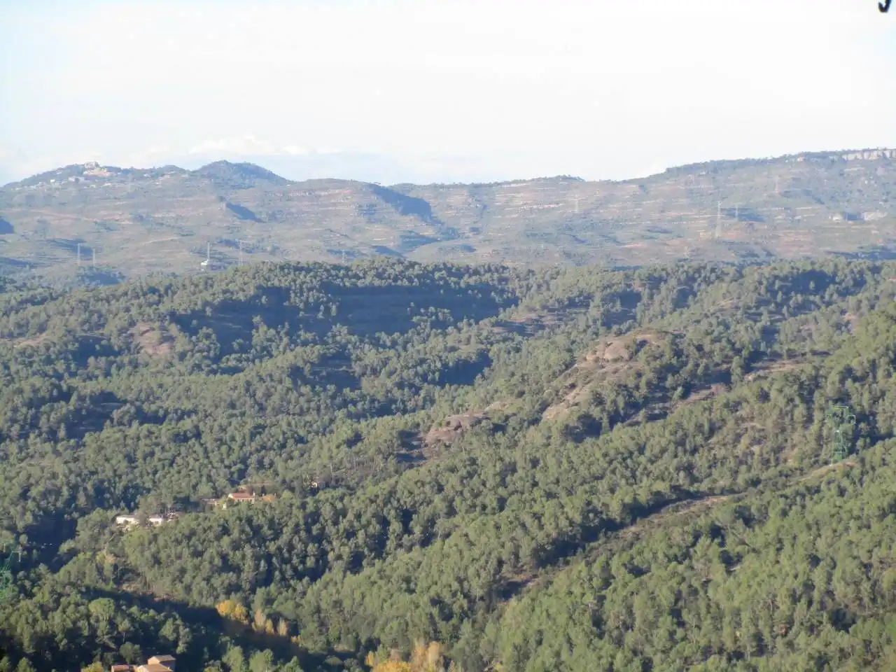 Wohnbaugrundstück zum Verkauf in El Racó - Sant Feliu del Racó, imagen 12