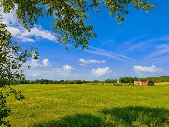 Terreno en Venta en Ronda Ronda de Gredos en Pueblonuevo de Miramontes
