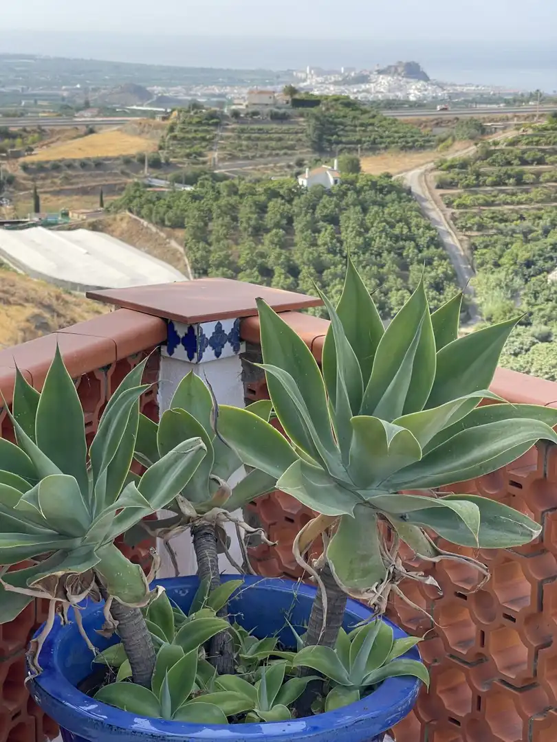 Terrassa de Finca rústica en venda en Salobreña amb Piscina