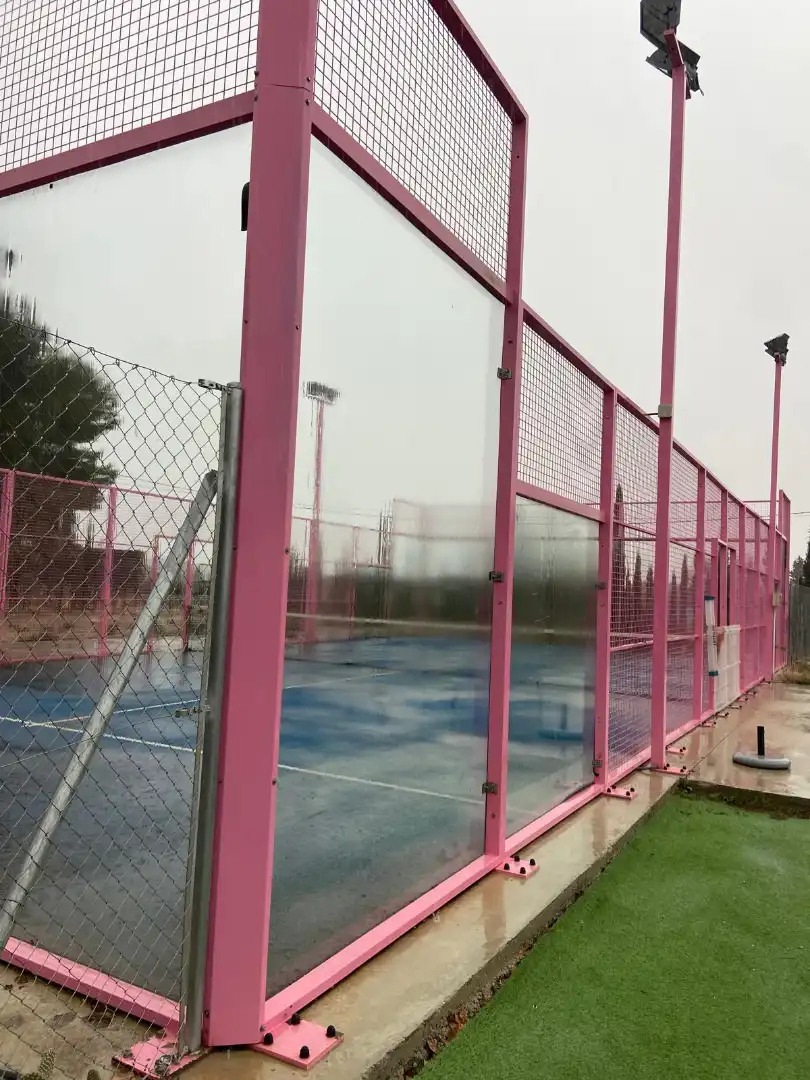 Vista exterior de Casa o chalet en venta en Almansa con Calefacción, Jardín privado y Piscina