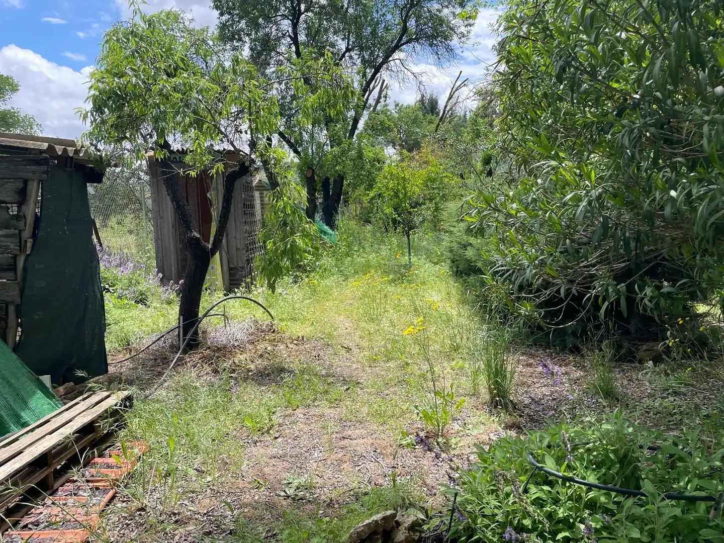 Finca rústica en venda en Carrión de Calatrava amb Calefacció, Terrassa i Traster