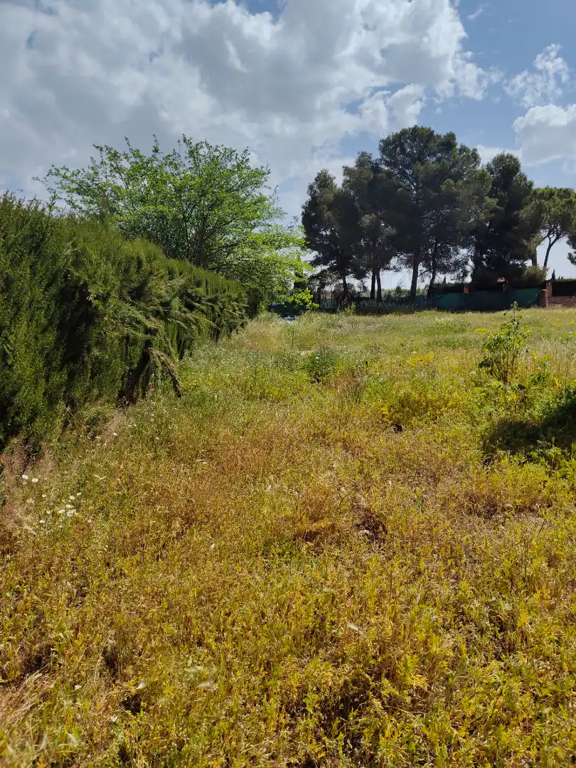 Terreno industriale in vendita a Pedanías - Extrarradio