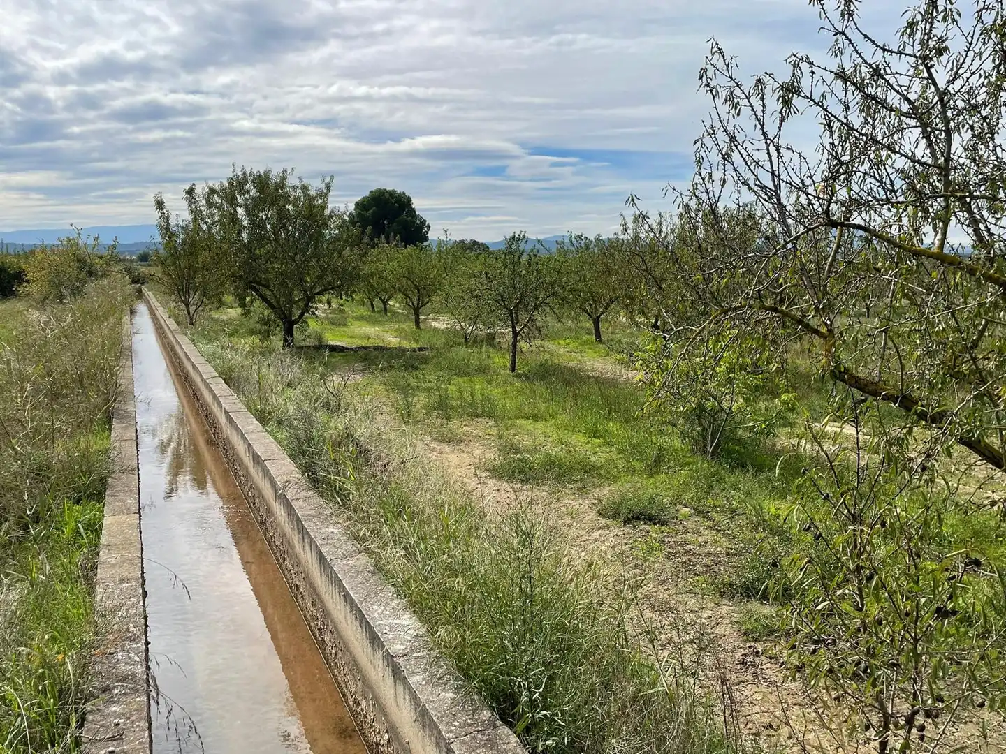 Terreni e lotti in vendita a Calahorra, imagen 13