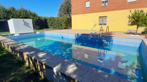 CHALET CON GRAN COCHERA, PISCINA Y 170 OLIVOS, imatge 4