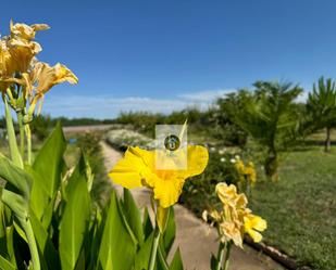 Jardí de Finca rústica en venda en Calera y Chozas amb Terrassa i Piscina