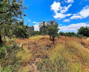 Finca rústica en venda en Taberno