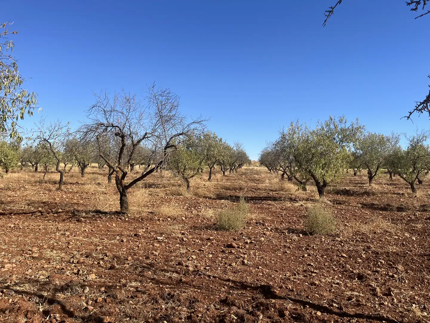 Rustikales Grundstück zum Verkauf in Avenida de Andalucía, imagen 4