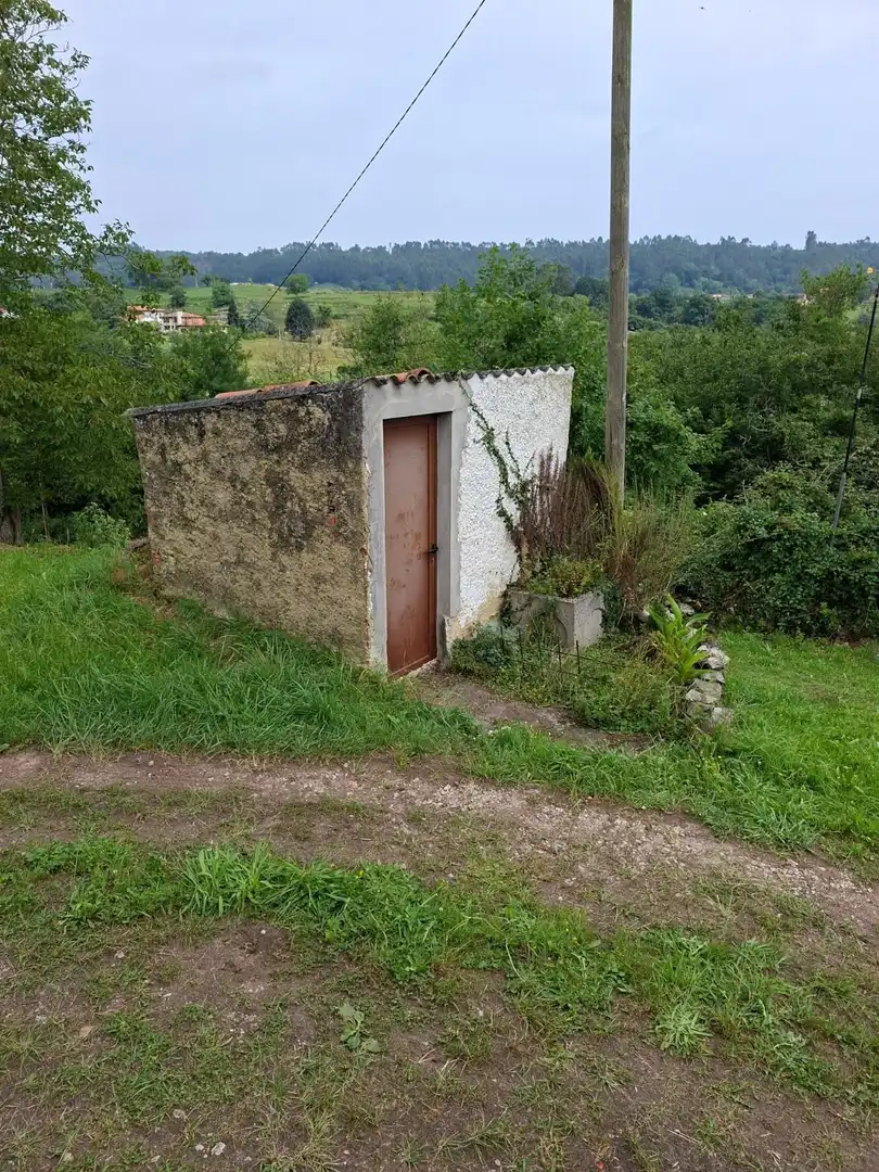Finca rústica en venta en Llanes