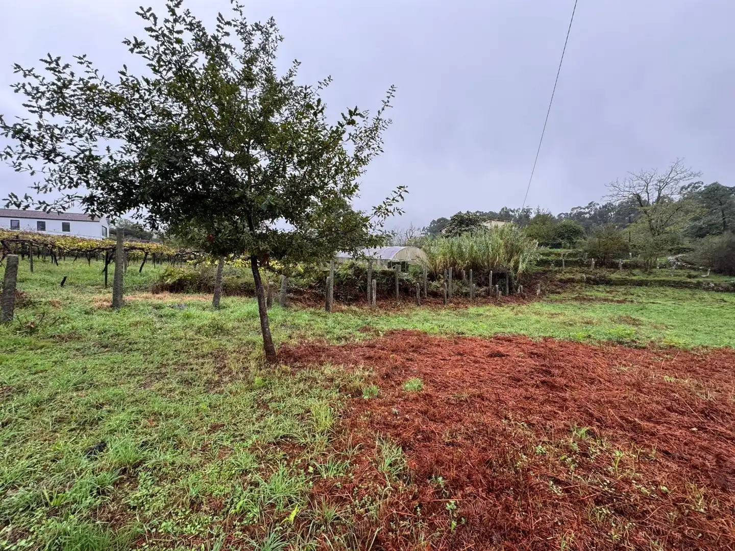 Lands and plots for sale in Soutomaior, imagen 6