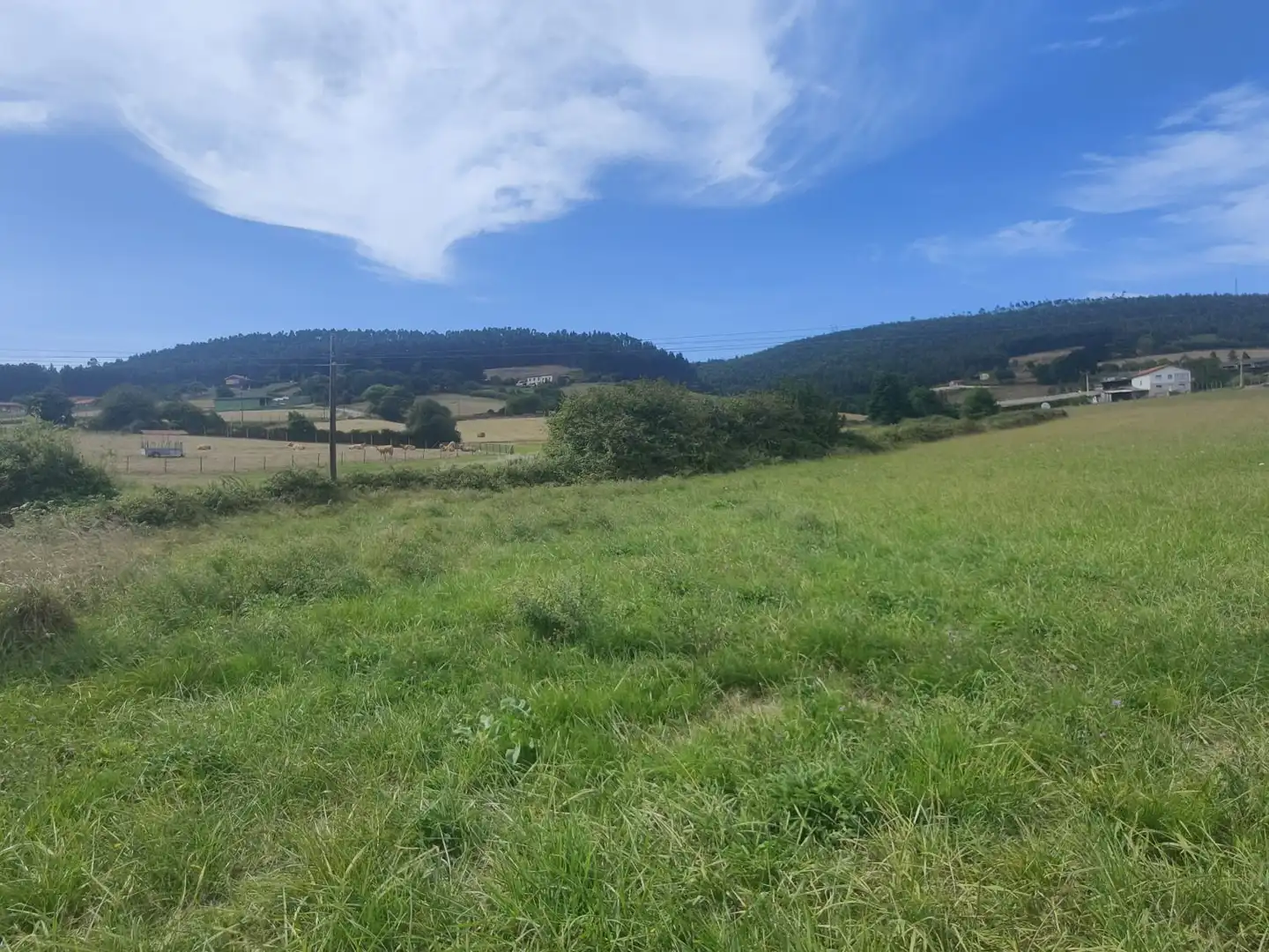 Finca rústica en venda a Fresno