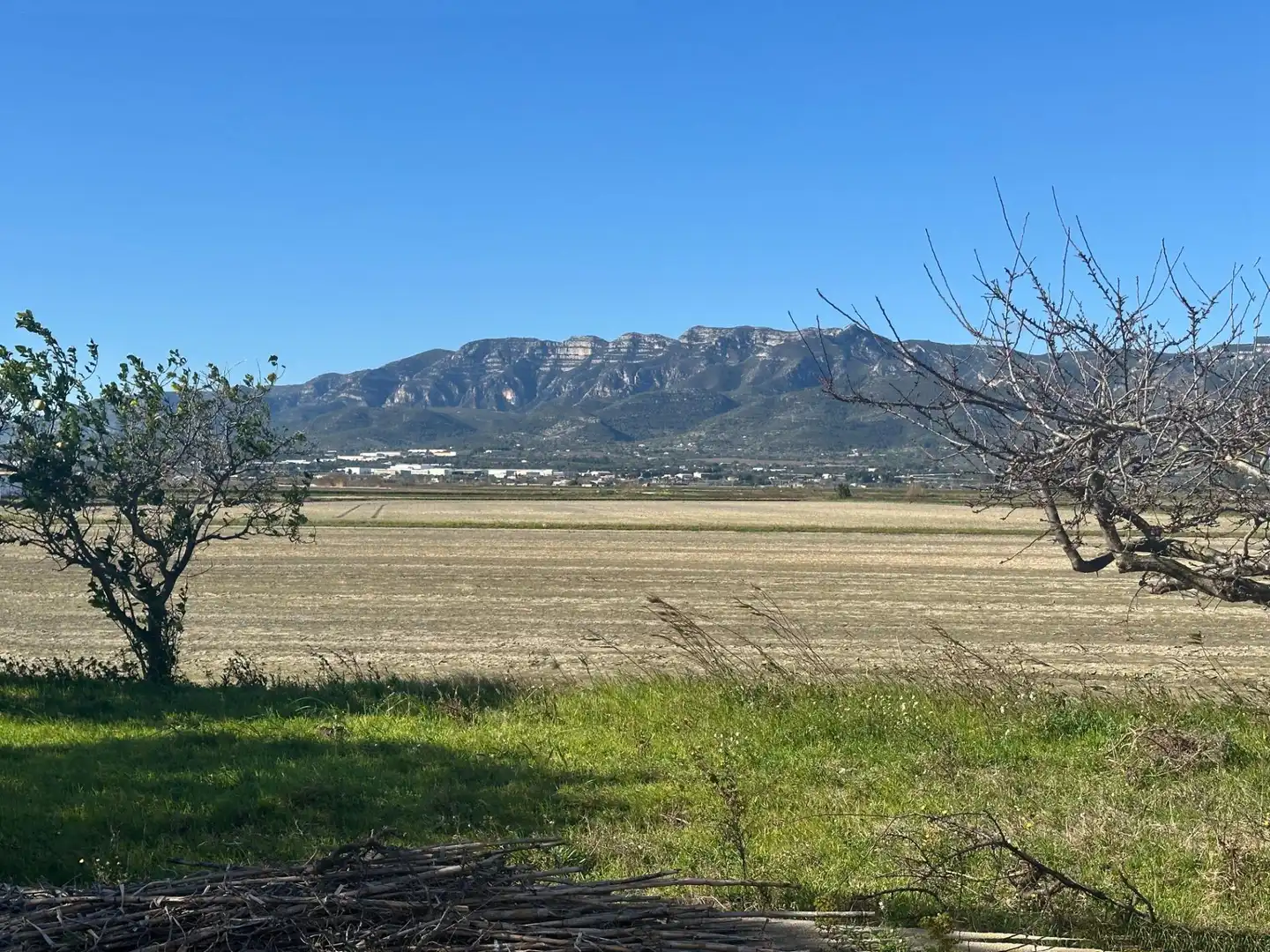 Casa o chalet en venta en La Ràpita