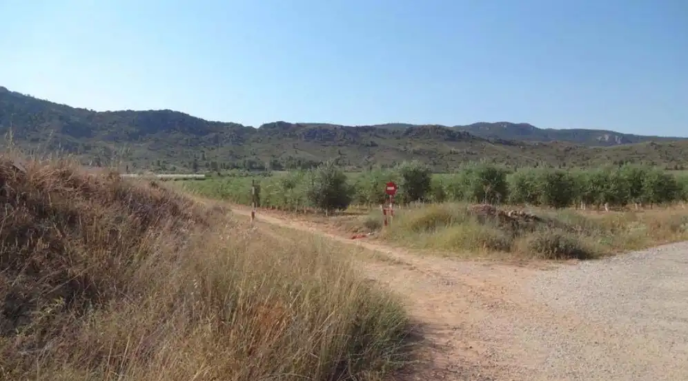 Rustikales Grundstück zum Verkauf in Paraje Carrascalejo, imagen 6