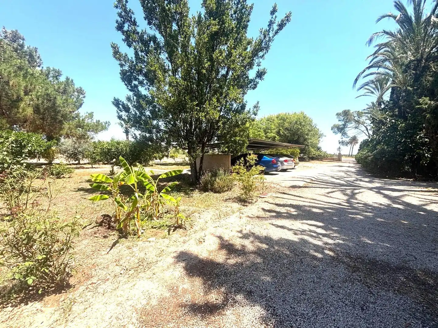 Houses for sale in Elche / Elx