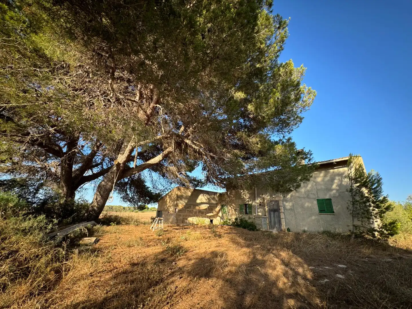 Maison rustique avec jardin à vendre à Muro, imagen 6
