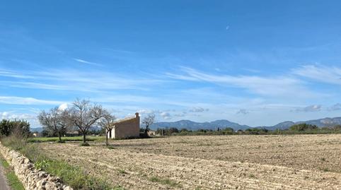 Photo 4 of Land for sale in Camí de Son Mulet, Marratxinet, Illes Balears