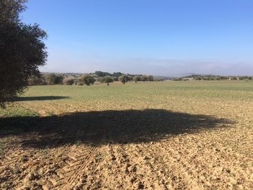 Terreno rustico in vendita a Chinchón