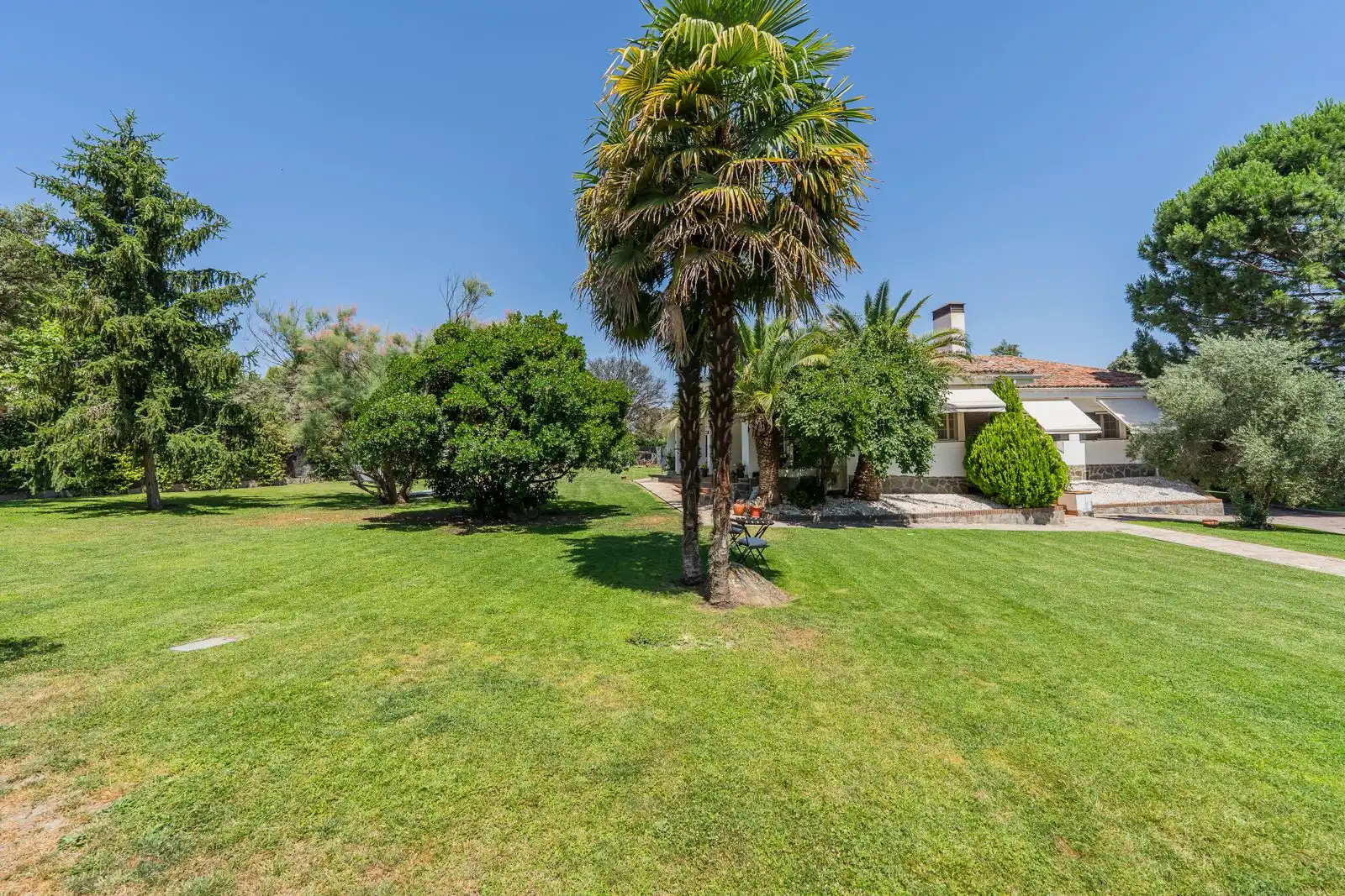 Jardín de Casa o chalet en venta en San Agustín del Guadalix con Aire acondicionado, Calefacción y Jardín privado
