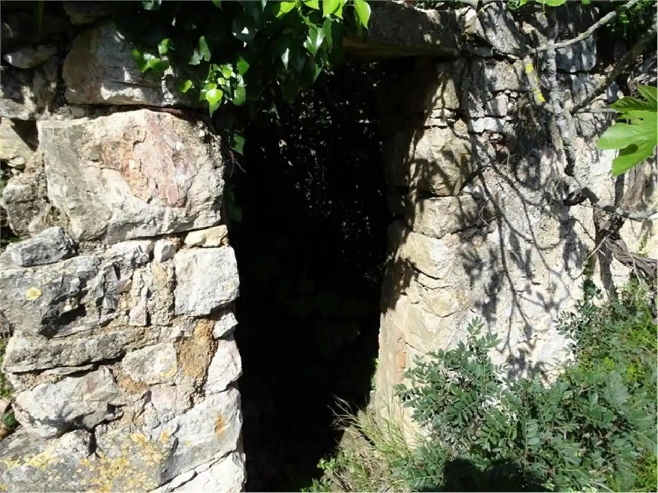 Wohnbaugrundstück zum Verkauf in Paüls, imagen 18