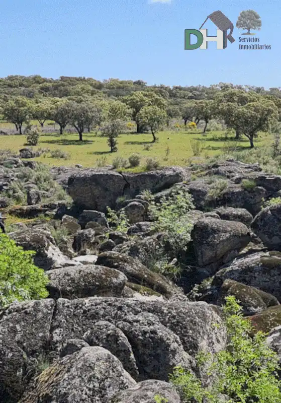 Terreni e lotti in vendita a San Roque - Ronda Norte, imagen 6