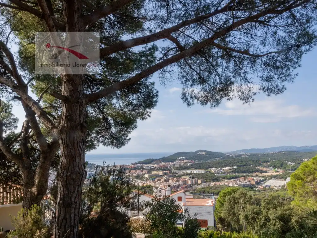 Maison à vendre à Roca Grossa, imagen 5