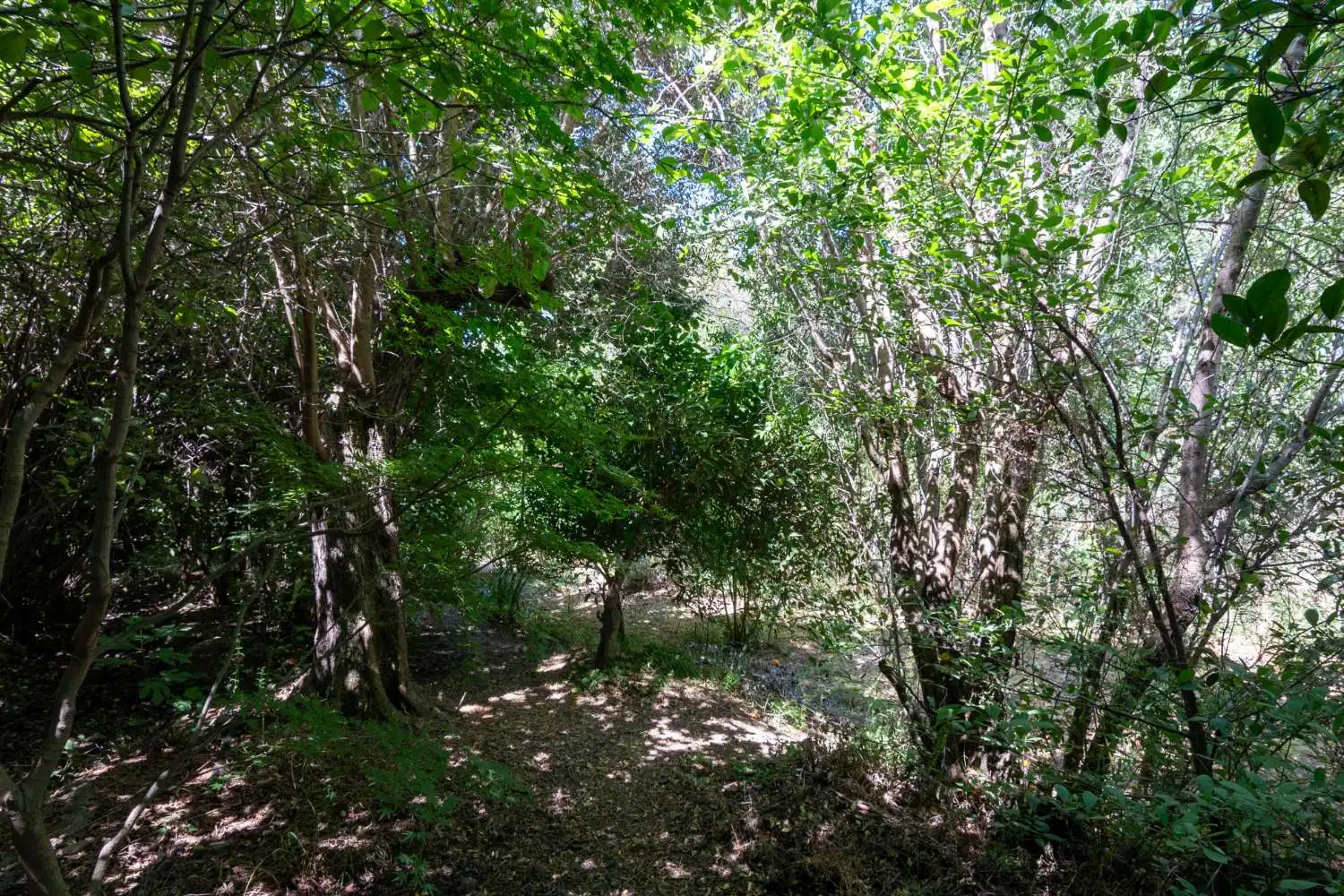 Finca rústica en venda en Lecrín amb Piscina