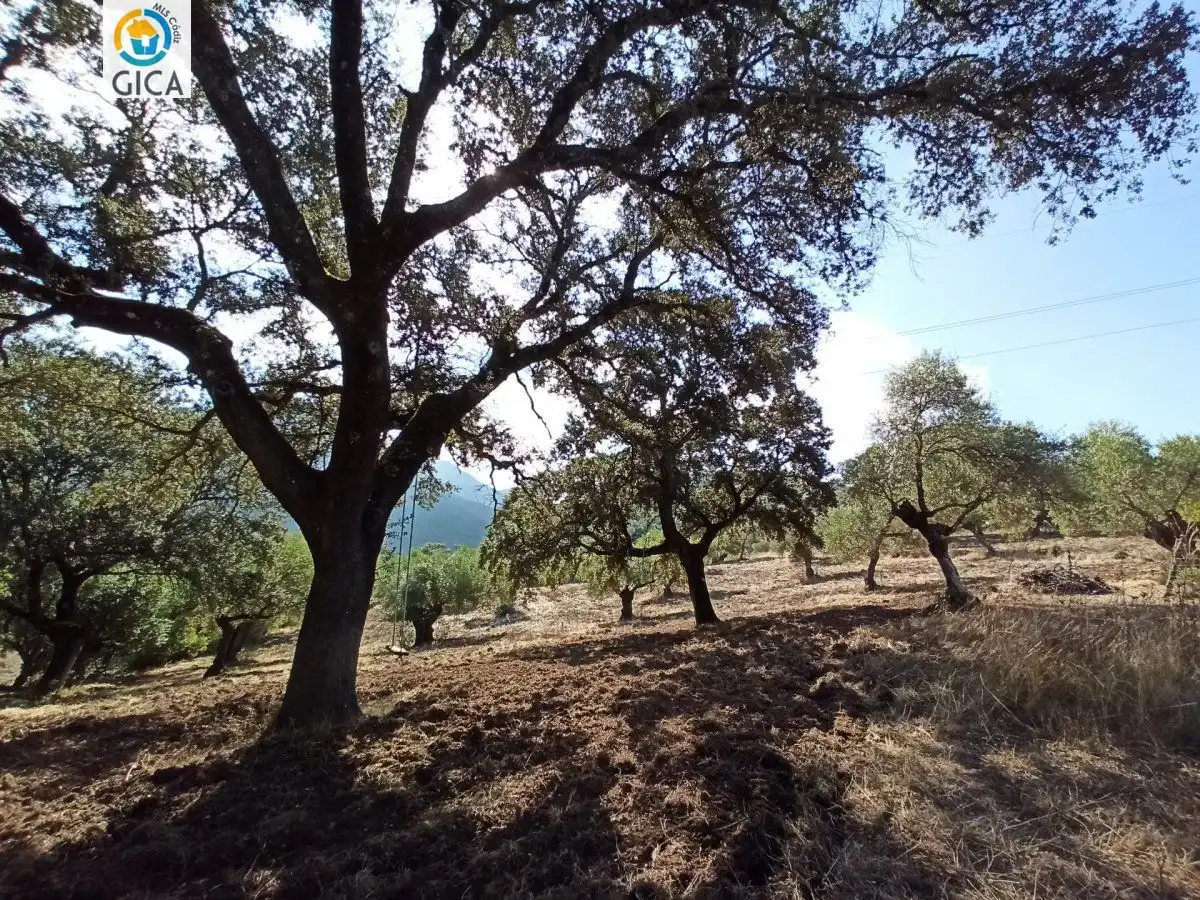 Casa rústica en venda a El Bosque, imagen 42