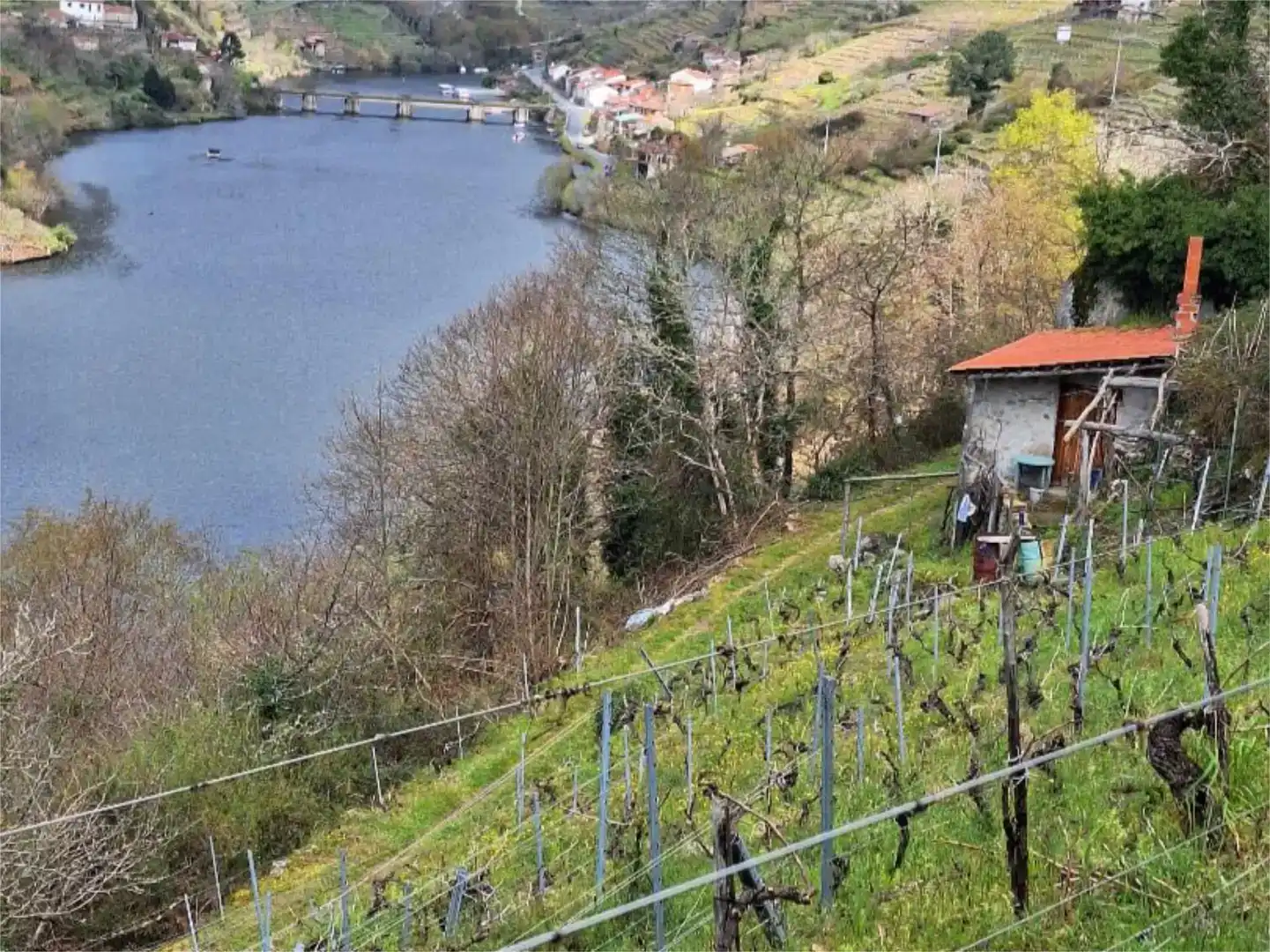 Terreno en venta en O Saviñao 