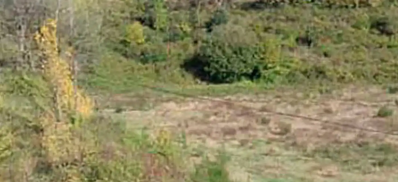 Rustikales Grundstück zum Verkauf in Ronda Pirineus, imagen 3
